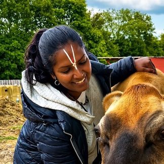 Pandita Bhavani with a cow