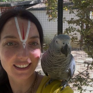 Varshabhanavidasi with an African grey parrot