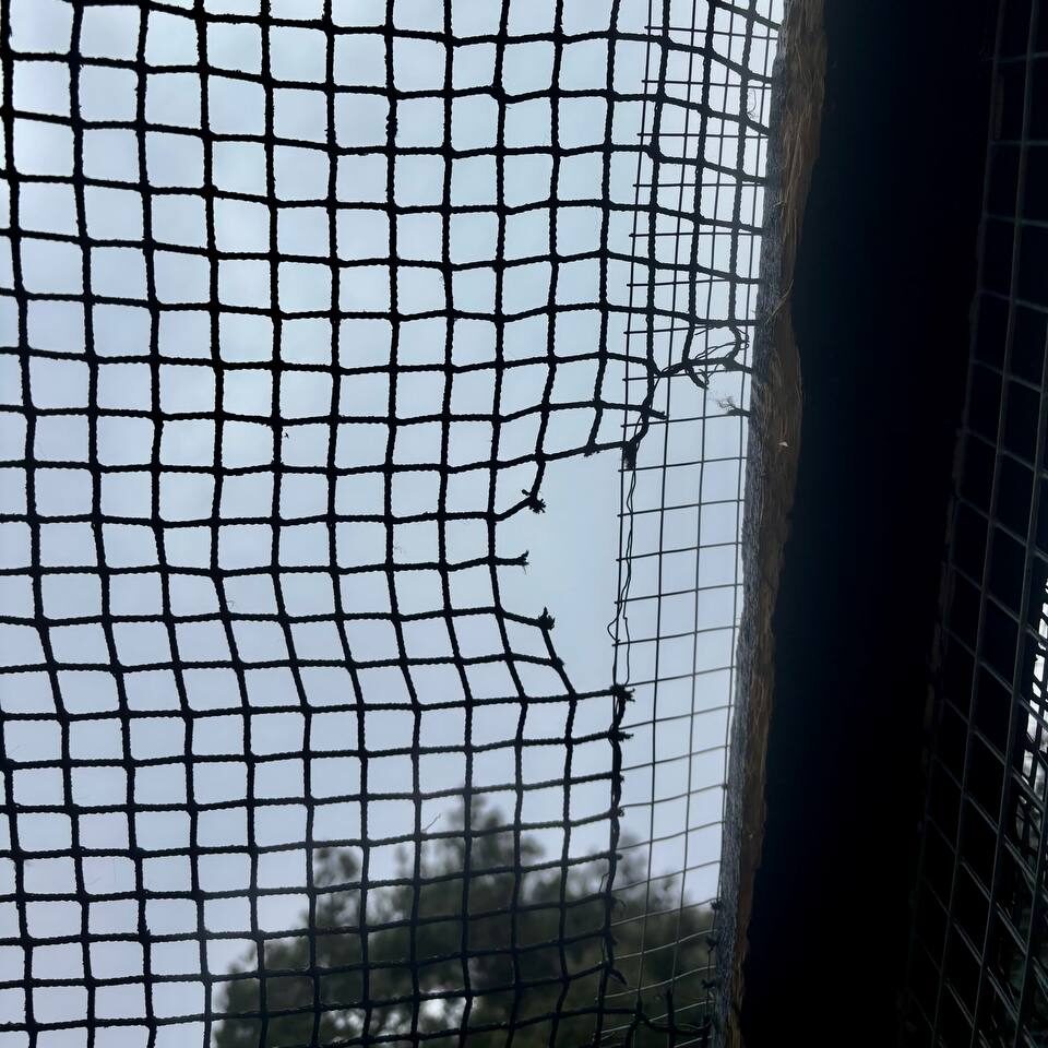 Holes in the existing aviary net