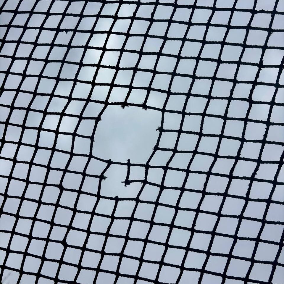 The existing aviary roof and netting awaiting renovation
