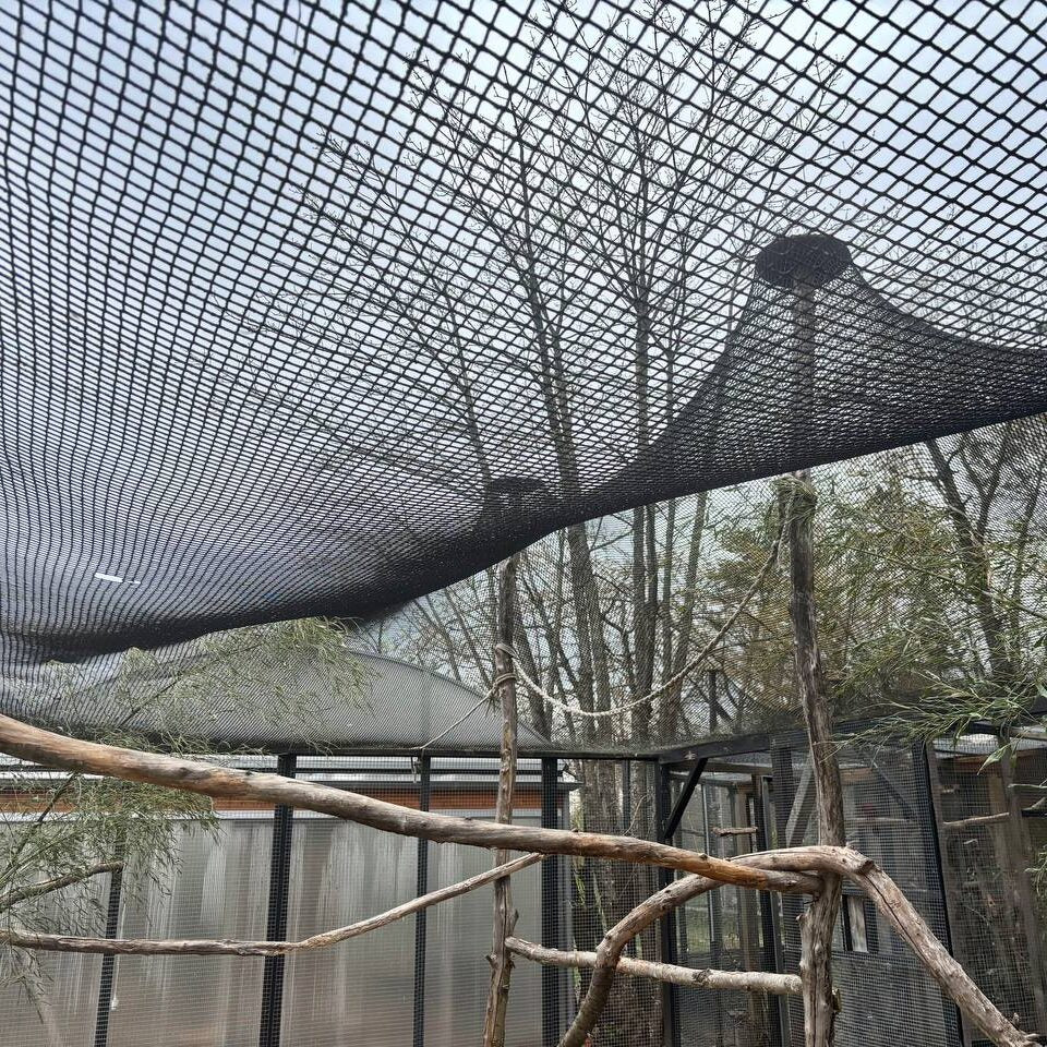 The aviary roof requiring renovation